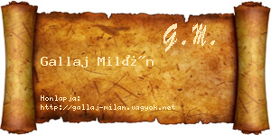 Gallaj Milán névjegykártya
